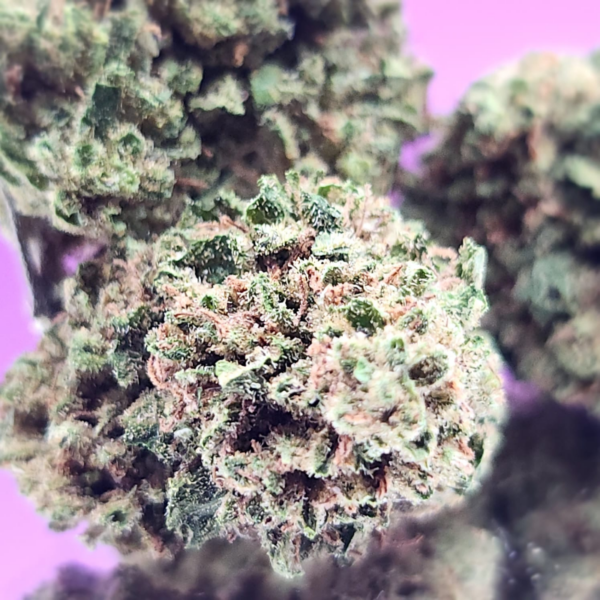 Tropical OG CBD 9% / 10gr – Image 4