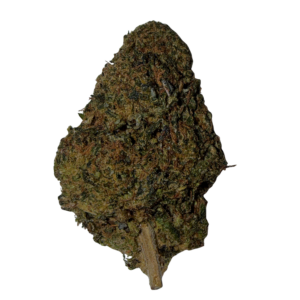 Amnésia CBDX