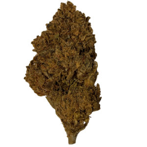 Gorilla CBDX
