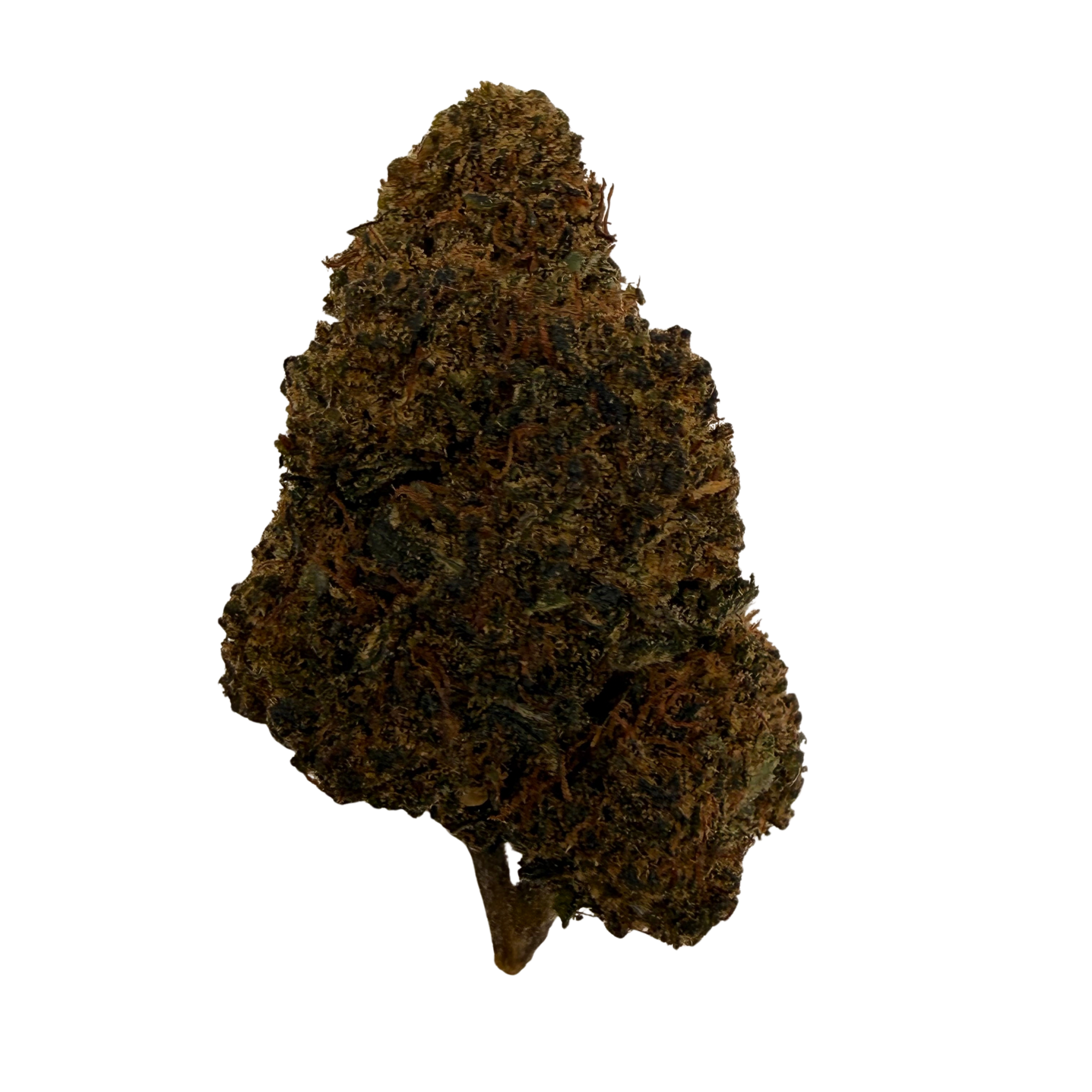 Mango CBDX